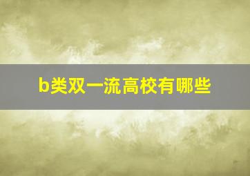 b类双一流高校有哪些