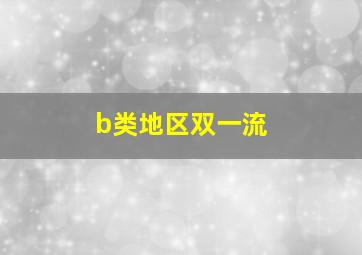 b类地区双一流