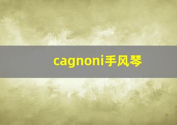 cagnoni手风琴