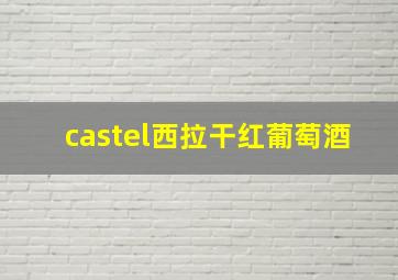 castel西拉干红葡萄酒