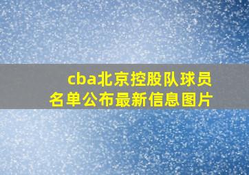 cba北京控股队球员名单公布最新信息图片