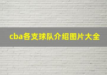 cba各支球队介绍图片大全