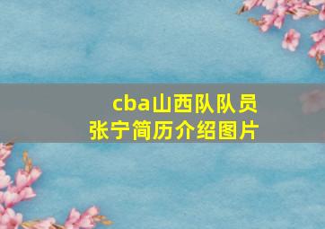 cba山西队队员张宁简历介绍图片