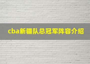 cba新疆队总冠军阵容介绍