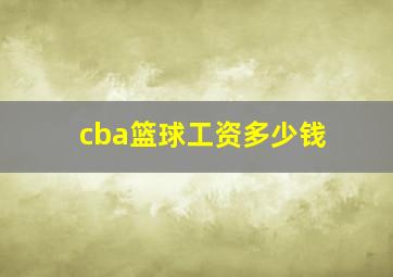 cba篮球工资多少钱