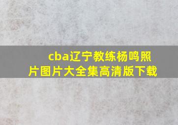 cba辽宁教练杨鸣照片图片大全集高清版下载