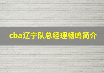 cba辽宁队总经理杨鸣简介