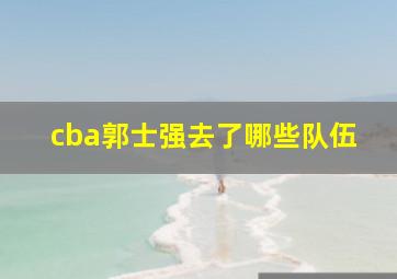 cba郭士强去了哪些队伍