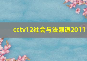 cctv12社会与法频道2011