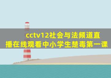 cctv12社会与法频道直播在线观看中小学生楚毒第一课