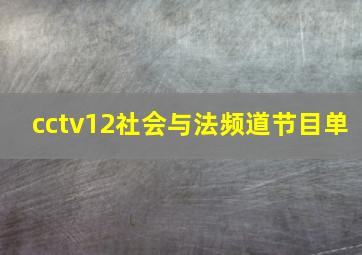 cctv12社会与法频道节目单