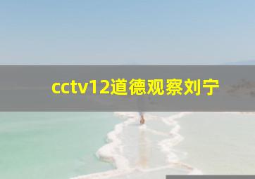 cctv12道德观察刘宁