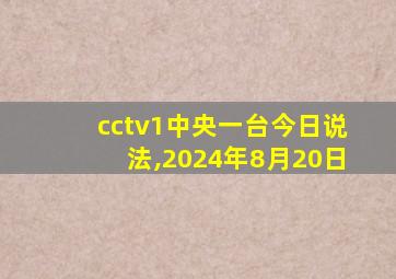 cctv1中央一台今日说法,2024年8月20日