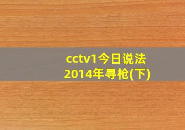 cctv1今日说法2014年寻枪(下)