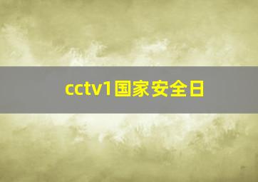 cctv1国家安全日