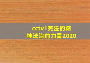 cctv1宪法的精神法治的力量2020