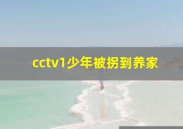 cctv1少年被拐到养家