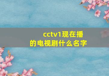 cctv1现在播的电视剧什么名字