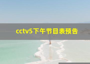 cctv5下午节目表预告