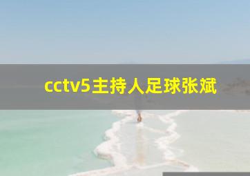 cctv5主持人足球张斌