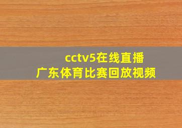 cctv5在线直播广东体育比赛回放视频