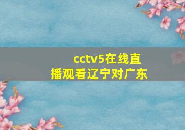 cctv5在线直播观看辽宁对广东