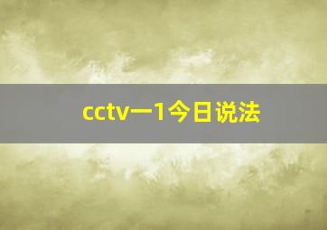 cctv一1今日说法