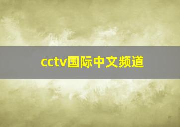 cctv国际中文频道