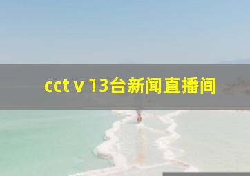 cctⅴ13台新闻直播间