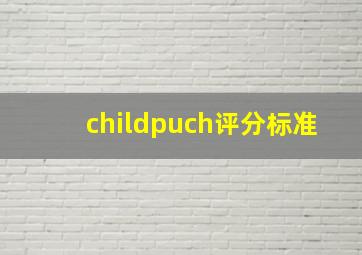 childpuch评分标准