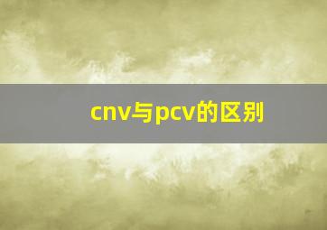 cnv与pcv的区别