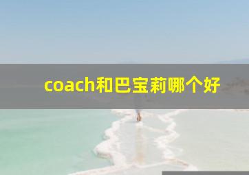 coach和巴宝莉哪个好