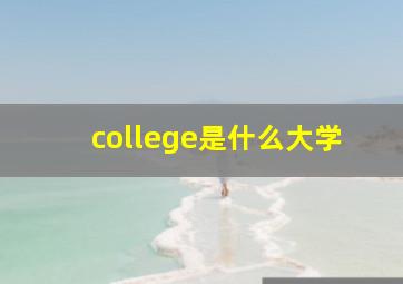 college是什么大学