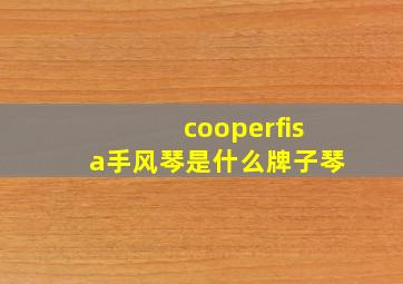 cooperfisa手风琴是什么牌子琴