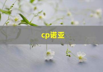 cp诺亚