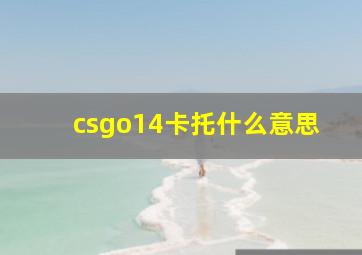 csgo14卡托什么意思