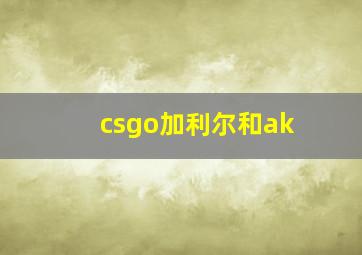 csgo加利尔和ak