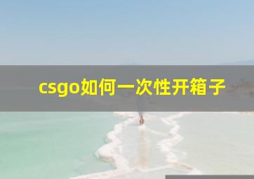 csgo如何一次性开箱子