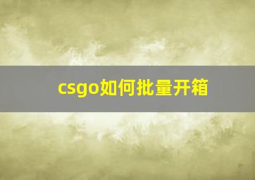 csgo如何批量开箱