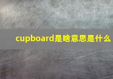 cupboard是啥意思是什么