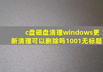 c盘磁盘清理windows更新清理可以删除吗1001无标题