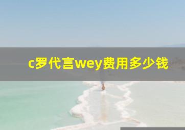 c罗代言wey费用多少钱