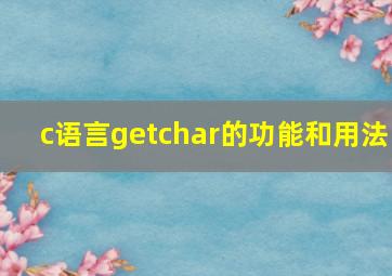 c语言getchar的功能和用法