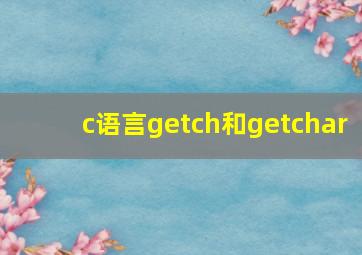 c语言getch和getchar