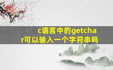 c语言中的getchar可以输入一个字符串吗