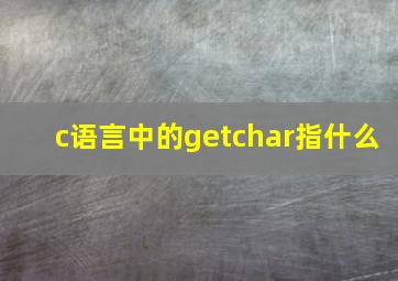 c语言中的getchar指什么