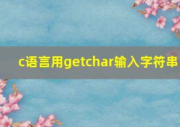 c语言用getchar输入字符串