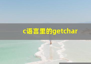 c语言里的getchar