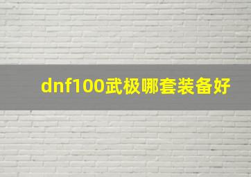 dnf100武极哪套装备好