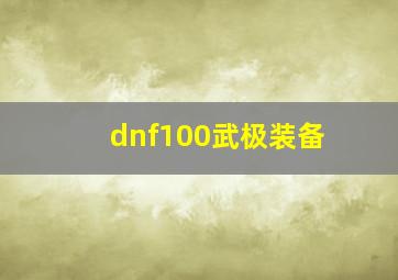 dnf100武极装备